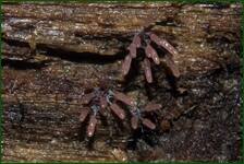 0_fdf13_37148560_orig.jpg