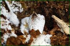 0_ff246_7348ca82_orig.jpg