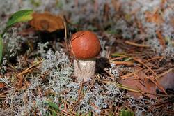 0_148b53_c86b7729_orig.jpg
