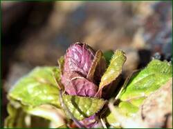 0_13dda6_2185d9c9_orig.jpg