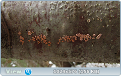 0_1242ca_1a788f94_orig.png