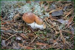 0_14b464_4dc9c036_orig.jpg