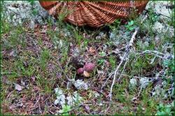 0_14b47a_4256149b_orig.jpg