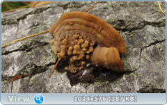 0_12771b_c2de2444_orig.png