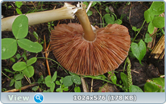0_12bc3c_70b9b267_orig.png