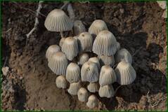 0_10065b_3c153b99_orig.jpg