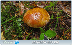 0_12d9d9_90b1e4e_orig.png