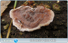 0_12dfde_e15d69b8_orig.png