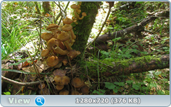 0_112286_93fb631a_orig.png