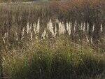 0_4f968_525365a9_S.jpg