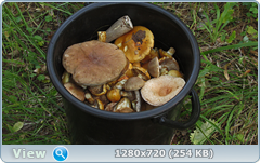 0_ef3c8_778daccf_orig.png