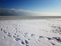 0_5e701_2b02c128_M.jpg
