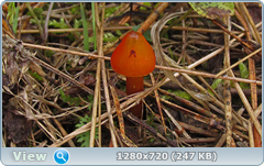 0_eb074_a8ae5815_orig.png