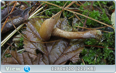 0_f200e_8ca52ed6_orig.png