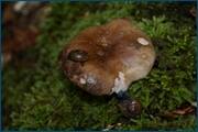 0_d2394_48833b4c_orig.jpg