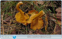0_f5021_aa466e31_orig.png
