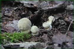 0_1267dd_7c4b297_orig.jpg