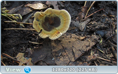 0_109809_f3099d5_orig.png