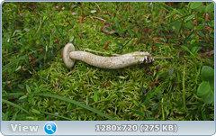 0_10a2e1_f700682_orig.png