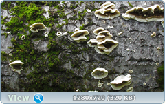 0_f7eb0_ba625de6_orig.png