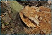 0_d09dc_d6db337_orig.jpg