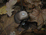 0_77cb5_3c82f5c3_S.jpg