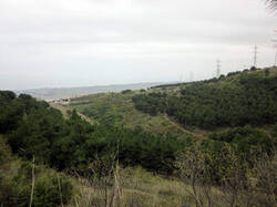 0_59f0c_98817bf7_M.jpg