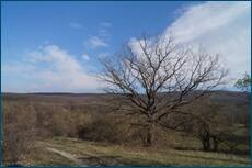 0_cc635_eeb8939f_orig.jpg