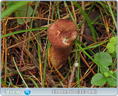 0_eafc5_80eba96c_orig.png