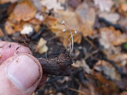 0_c506d_283ebc25_M.jpg