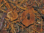 0_79fc5_68cf7756_S.jpg