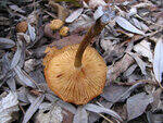 0_791aa_1483079f_S.jpg