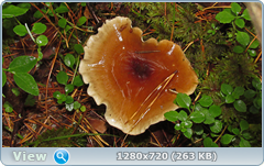 0_e90ea_d838681b_orig.png