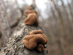0_7b461_83a586cc_S.jpg