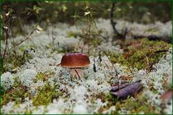 0_12922d_4c9b050a_orig.jpg