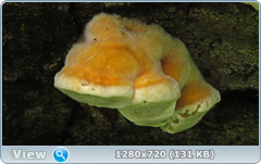 0_10aa9c_64e4bcc5_orig.png