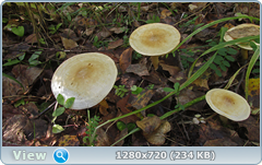 0_112b27_f8f70b38_orig.png