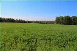 0_122bec_8488d924_orig.jpg