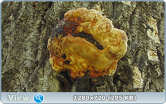 0_105645_b275662_orig.png