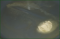 0_e1841_d790d17_orig.png