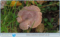 0_fb9ca_904c439e_orig.png
