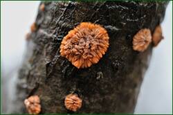 0_153b53_4157232f_orig.jpg