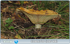 0_fba36_29126920_orig.png