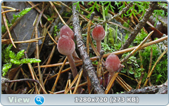 0_fbf16_1d927852_orig.png