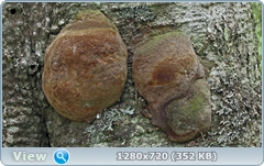 0_fc58e_6e70f598_orig.png