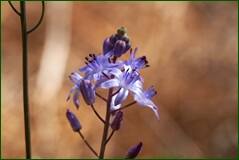 0_100b19_651c678_orig.jpg