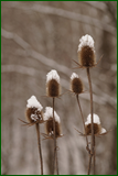 0_104d76_f16ce610_orig.png