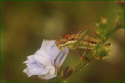 0_fdd58_3910d65d_orig.jpg