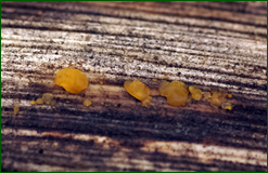 0_104f0d_89c47980_orig.png
