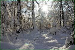 0_156296_3a81230f_orig.jpg